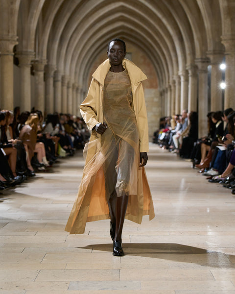 Transparentes Tüll-Kleid mit Chiaroscuro Druck