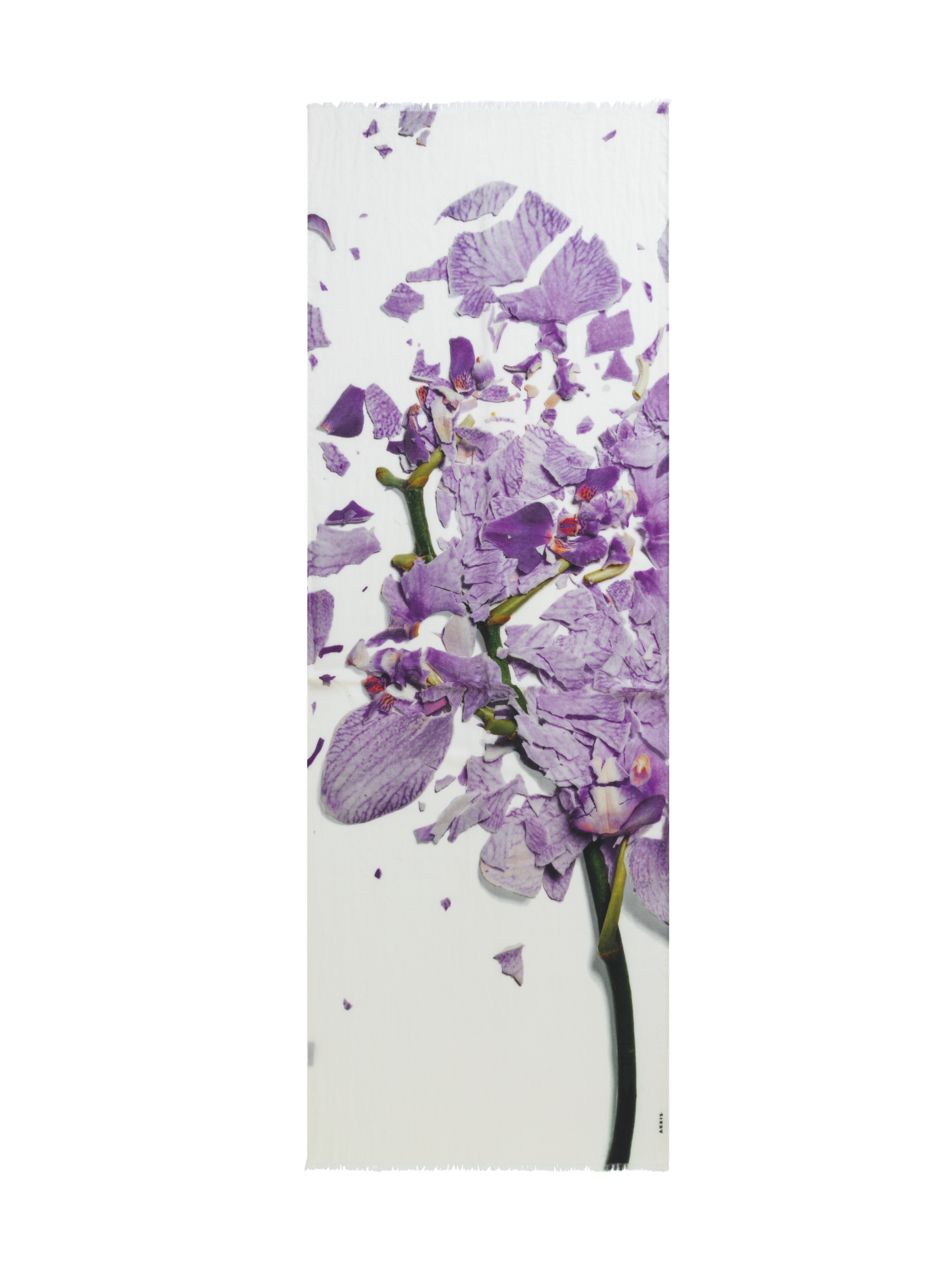 Designer Kaschmirseidenschal mit Scattered Orchid Druck - Bunt