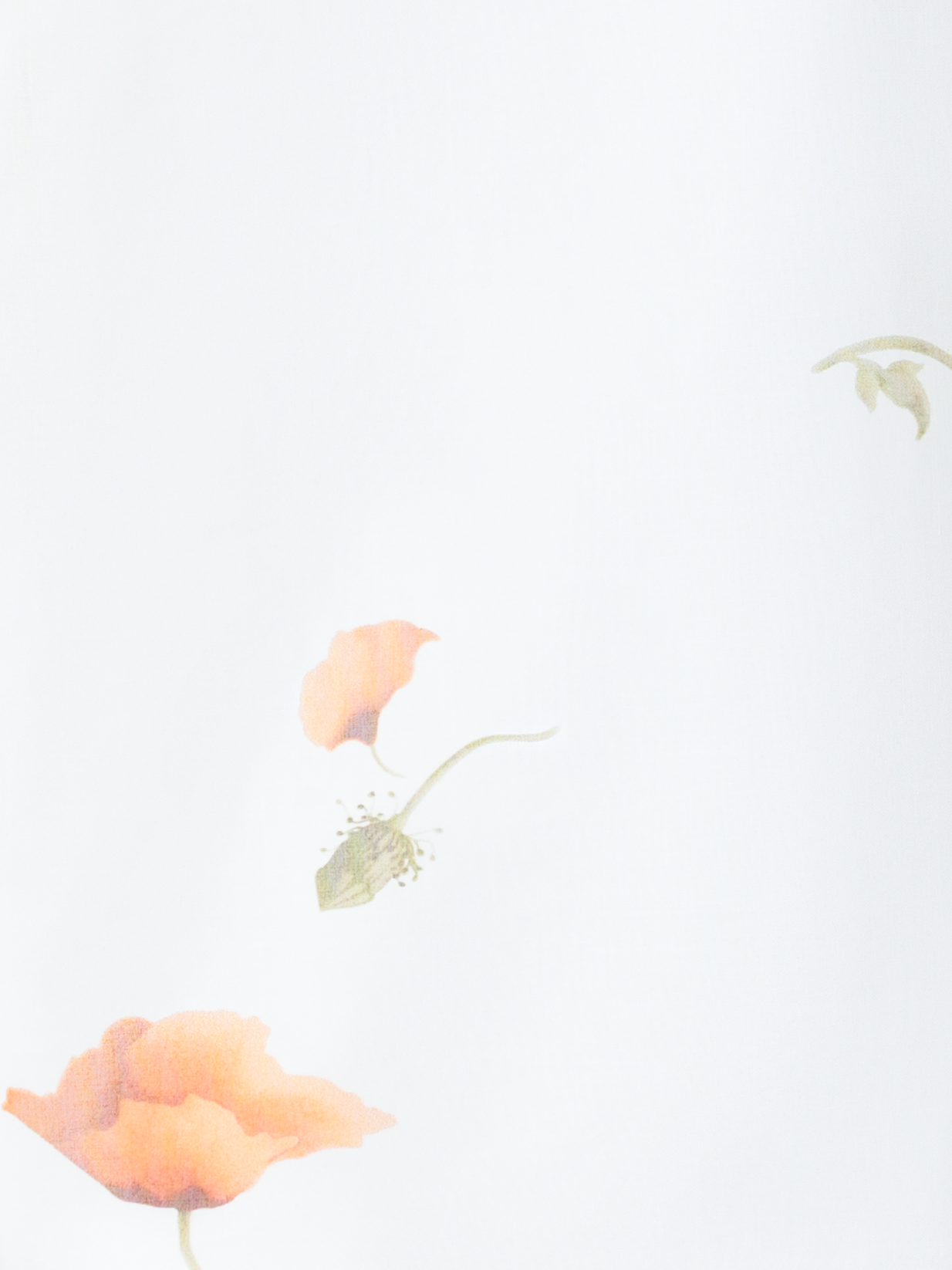 Designer Boxy Baumwoll-Bluse mit Anemone Druck - Bunt - Ecru - Weiss