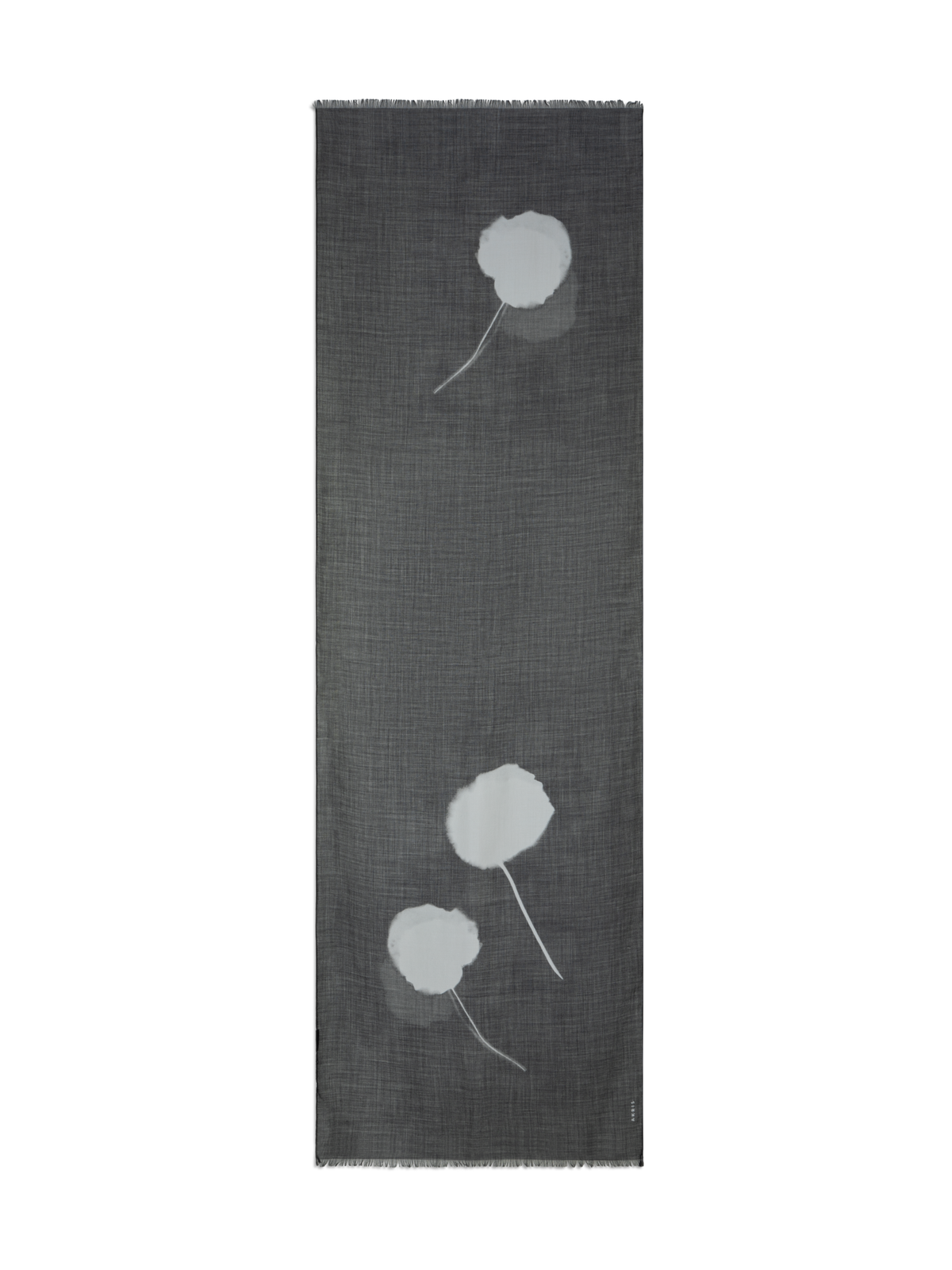 Designer Schal aus Kaschmir-Seide mit Dandelion Druck - Schwarz - Bunt