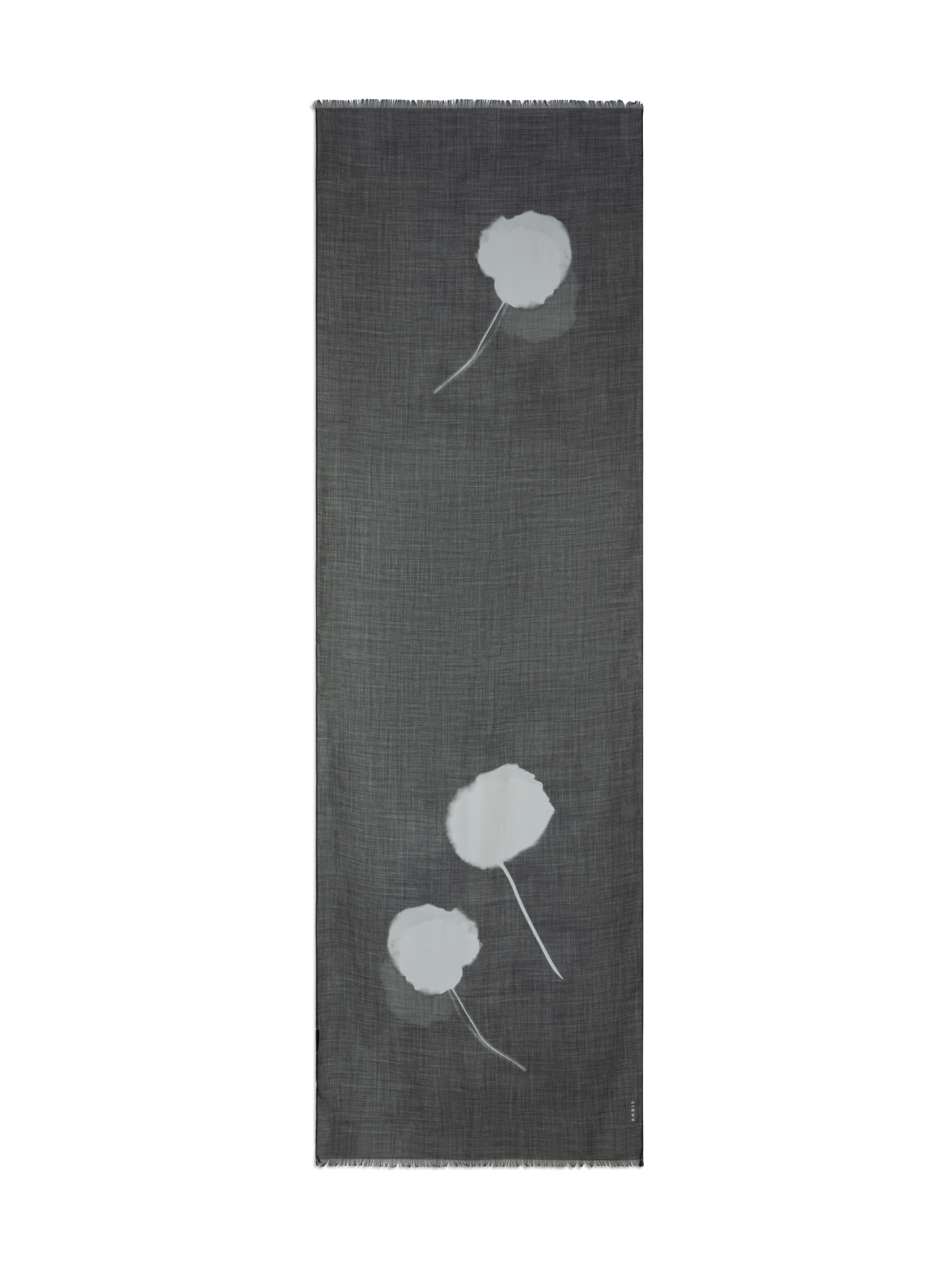 Designer Schal aus Kaschmir-Seide mit Dandelion Druck - Schwarz - Bunt