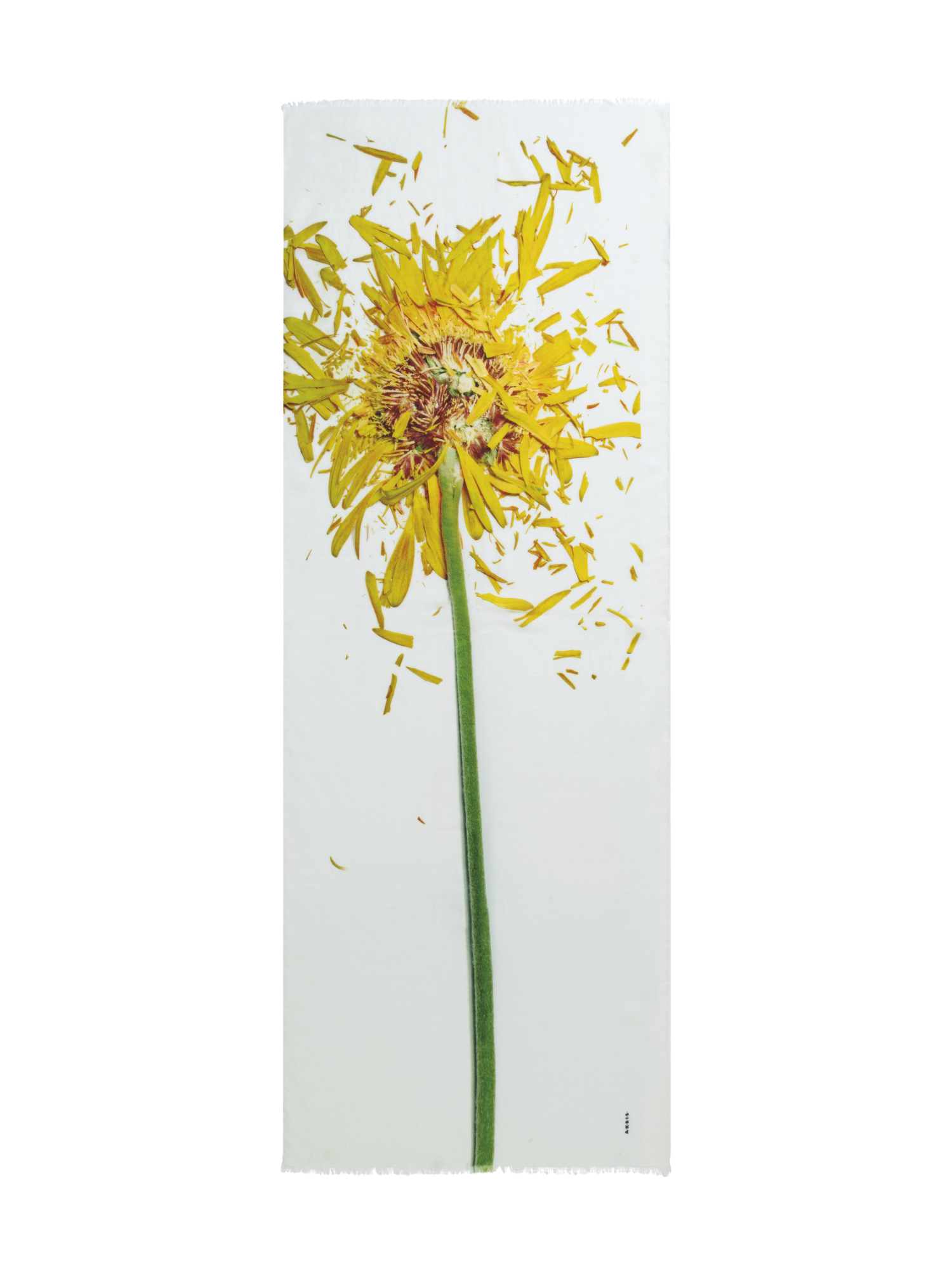 Designer Schal mit Scattered Calendula Druck - Bunt