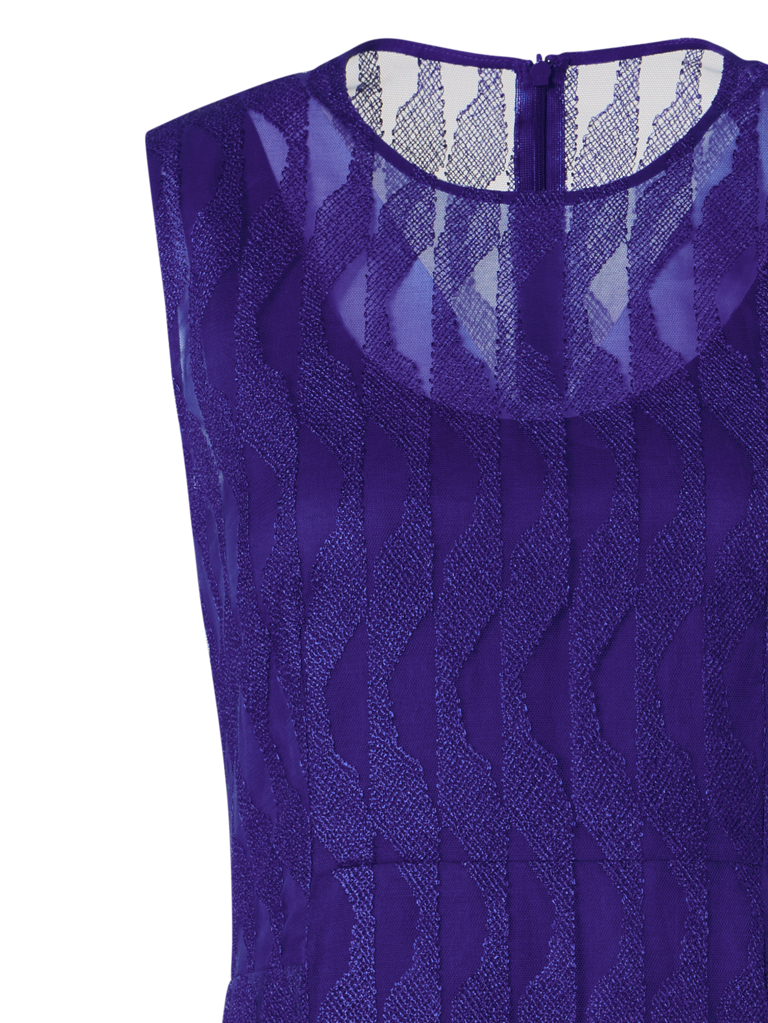 Designer Ärmelloses Abendkleid mit High Plains Stickerei auf Tüll - Violett
