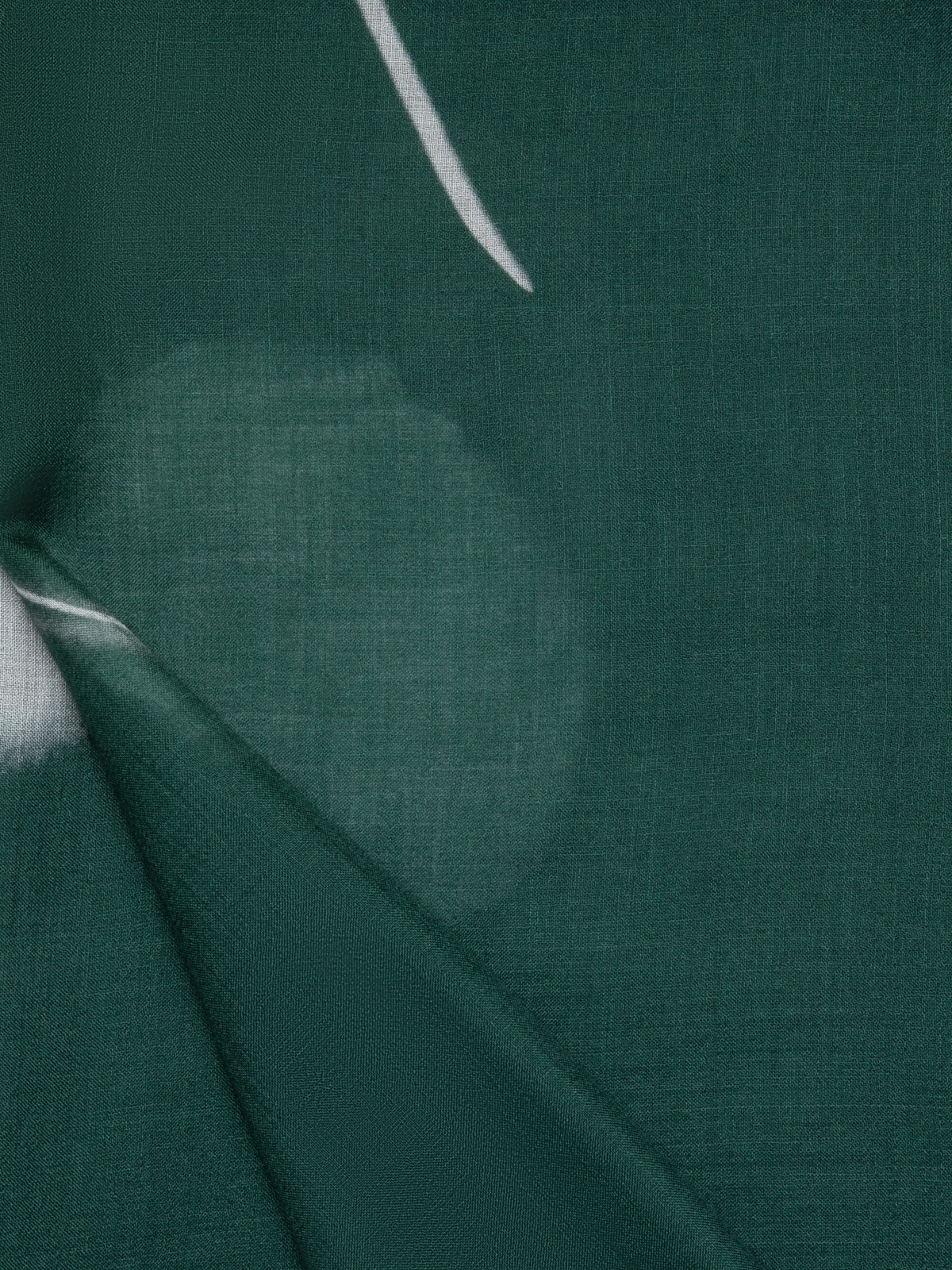 Designer Schal aus Kaschmir-Seide mit Dandelion Druck - Grün - Bunt