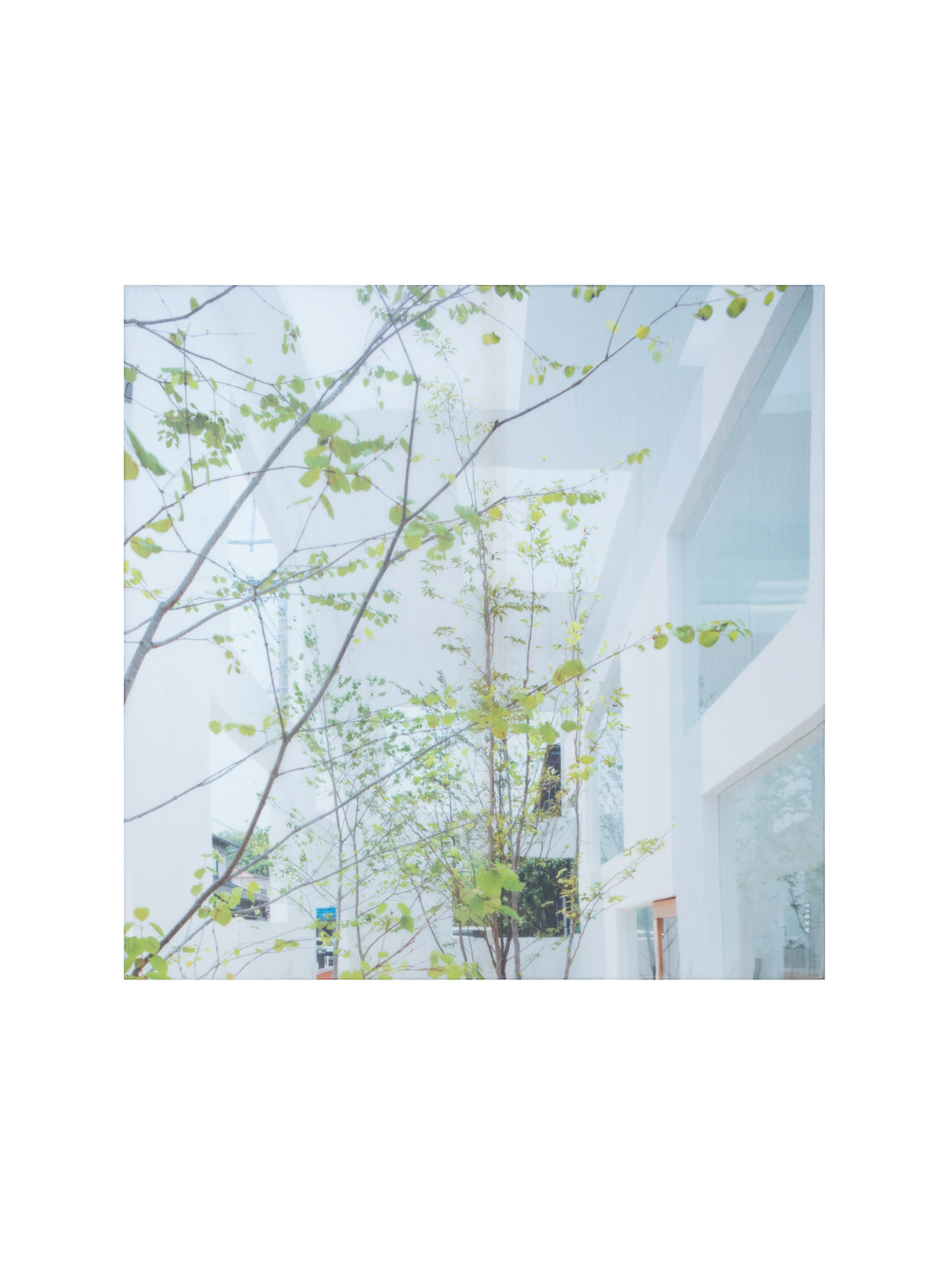 Designer Baumwoll-Seiden-Schal mit House N Trees Druck - Bunt