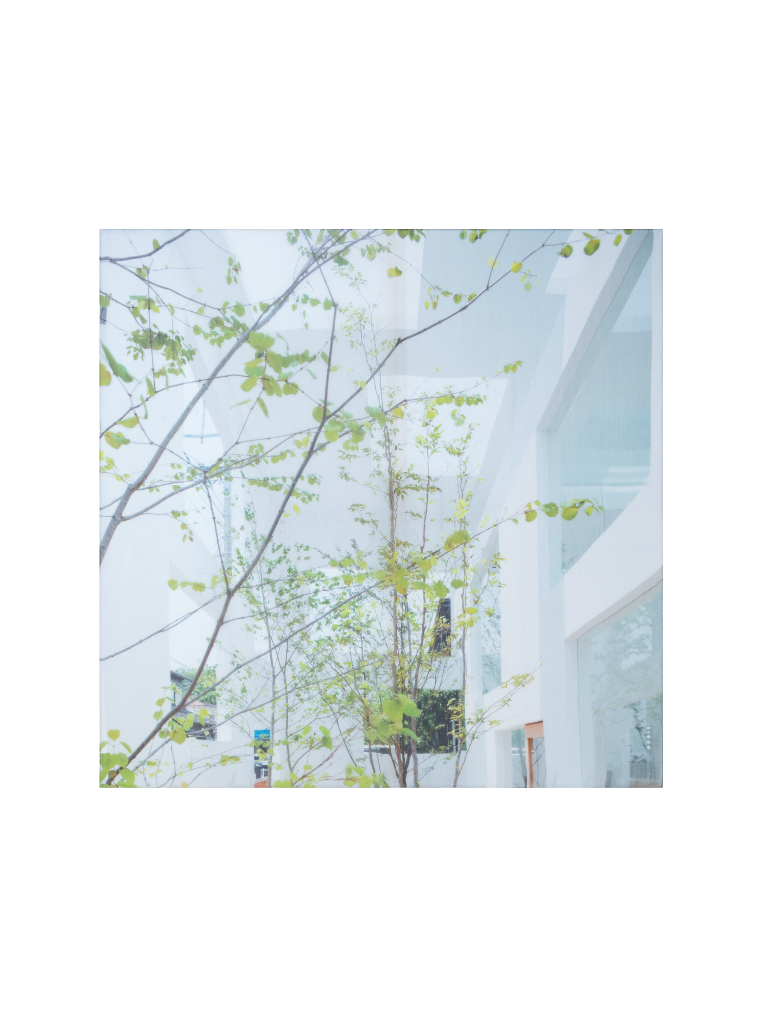 Designer Baumwoll-Seiden-Schal mit House N Trees Druck - Bunt