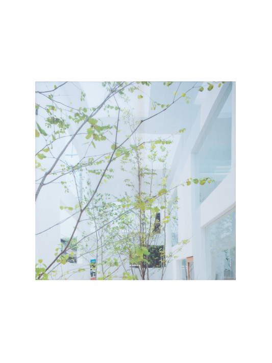 Designer Baumwoll-Seiden-Schal mit House N Trees Druck - Bunt