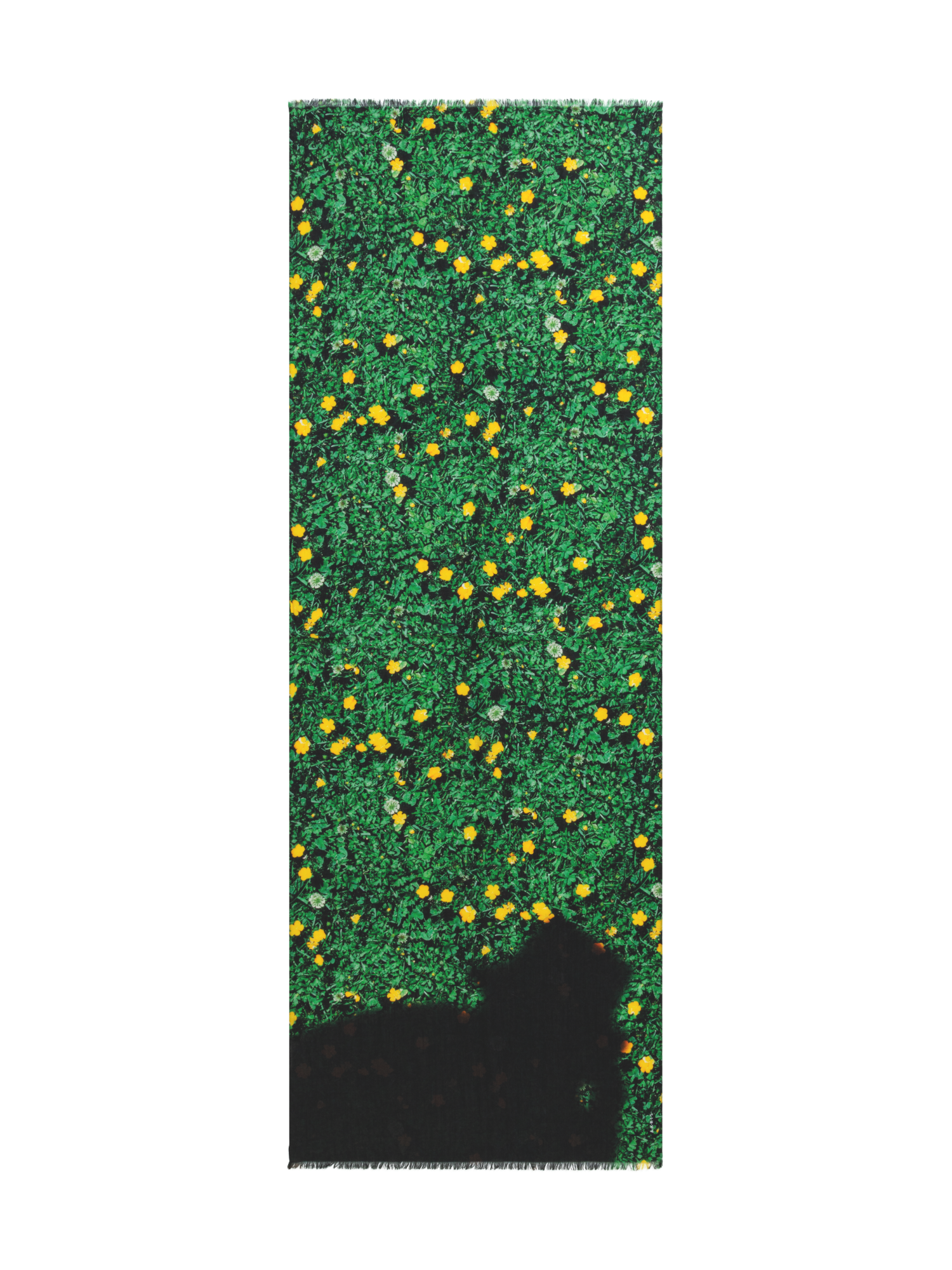 Designer Schal aus Kaschmir und Seide mit Buttercups Druck - Grün