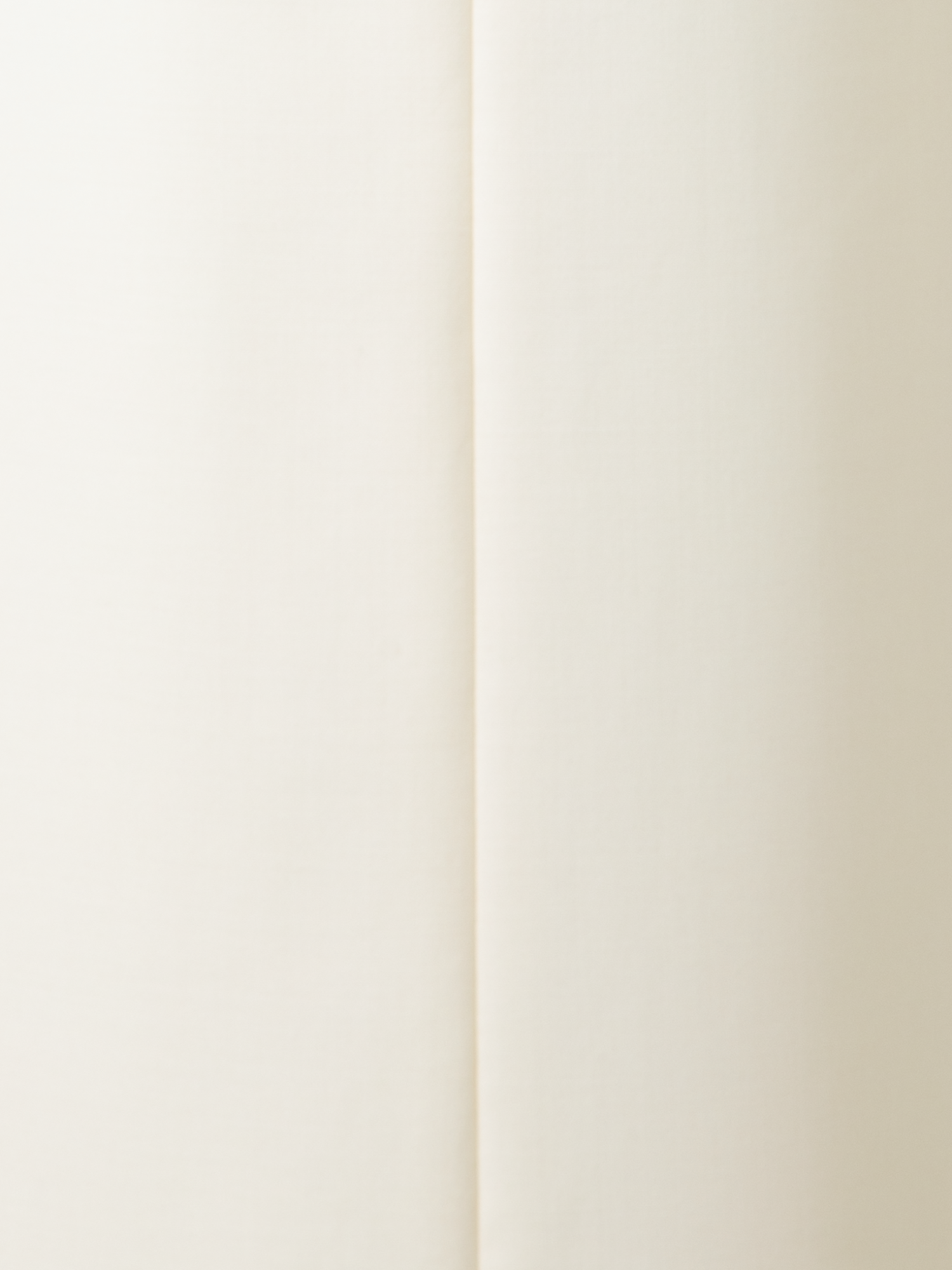 Designer Weite Gerade Hose aus Woll-Doubleface - Ecru - Weiss