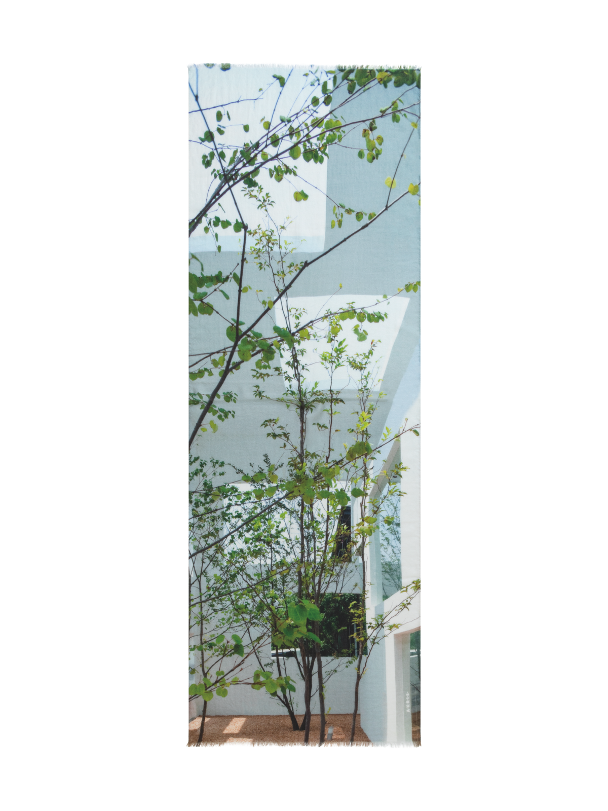 Designer Kaschmirseidenschal mit House N Trees Druck - Bunt