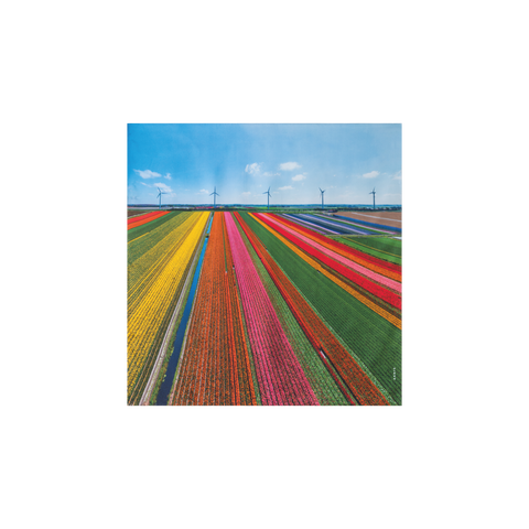 Schal aus Seide mit Wind Turbin Druck