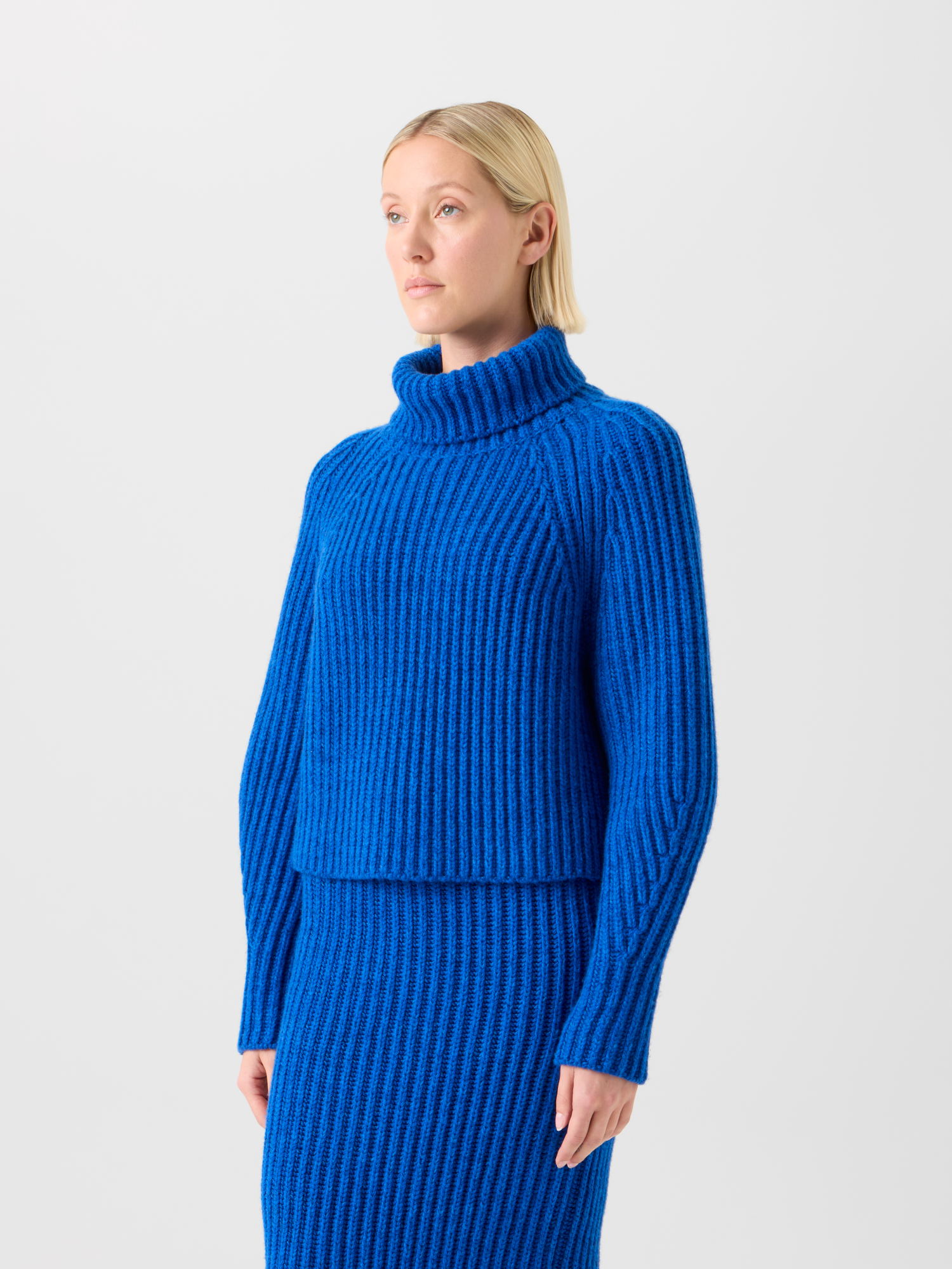 Designer Kurzer Kaschmir Rippen Rollkragen Pullover - Blau 