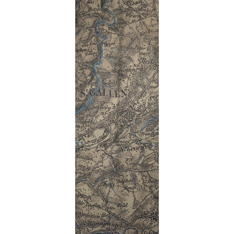 Kaschmirseidenschal mit St.Gallen Map Druck