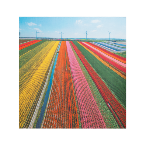 Scarf in Cotton and Silk with Wind Turbine Print