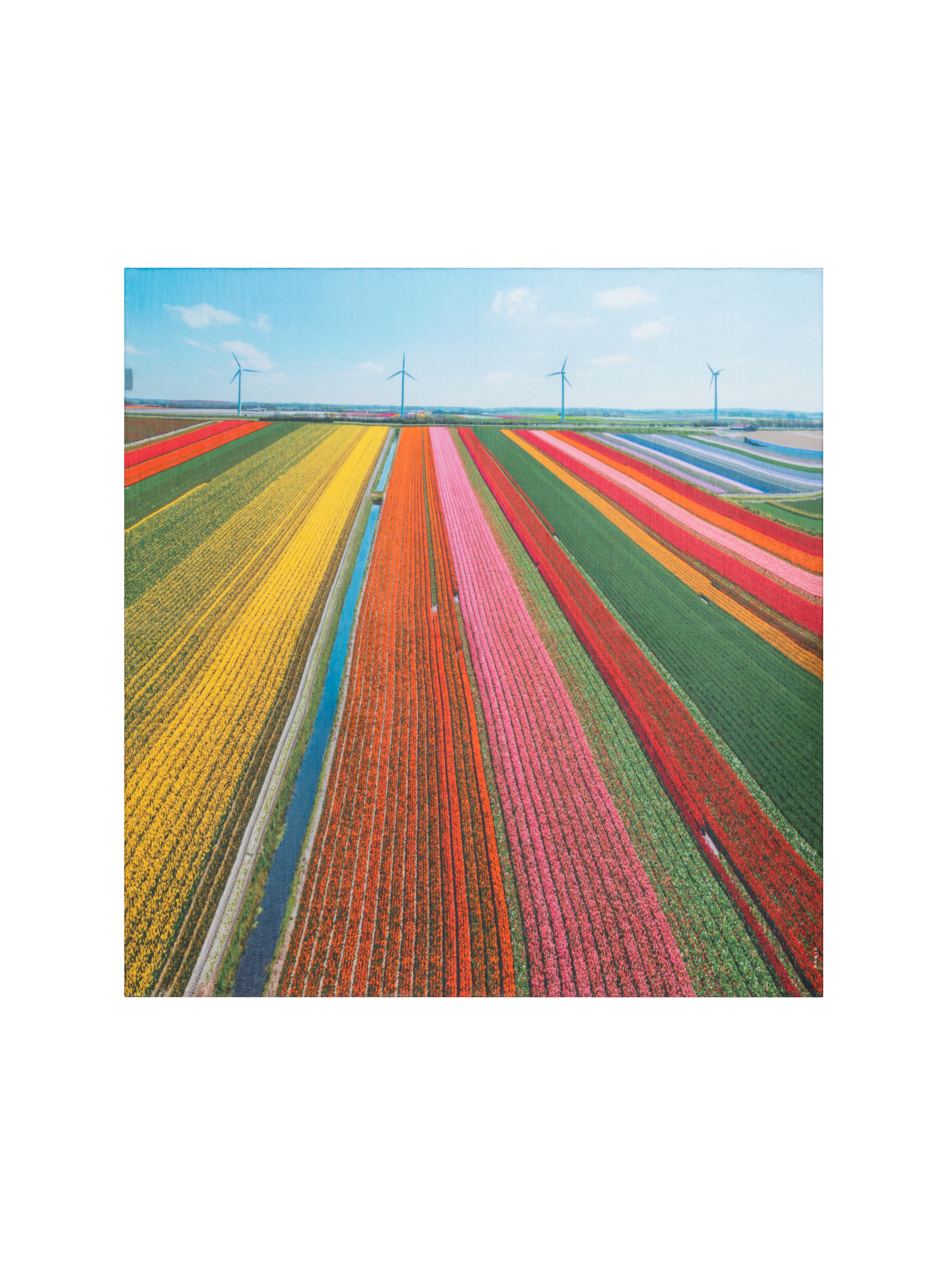 Designer Baumwoll-Seiden-Schal mit Wind Turbin Druck - Bunt