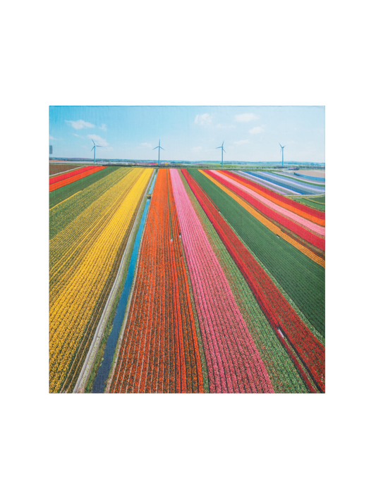 Designer Baumwoll-Seiden-Schal mit Wind Turbin Druck - Bunt