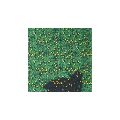 Schal aus Seide mit Buttercups Druck