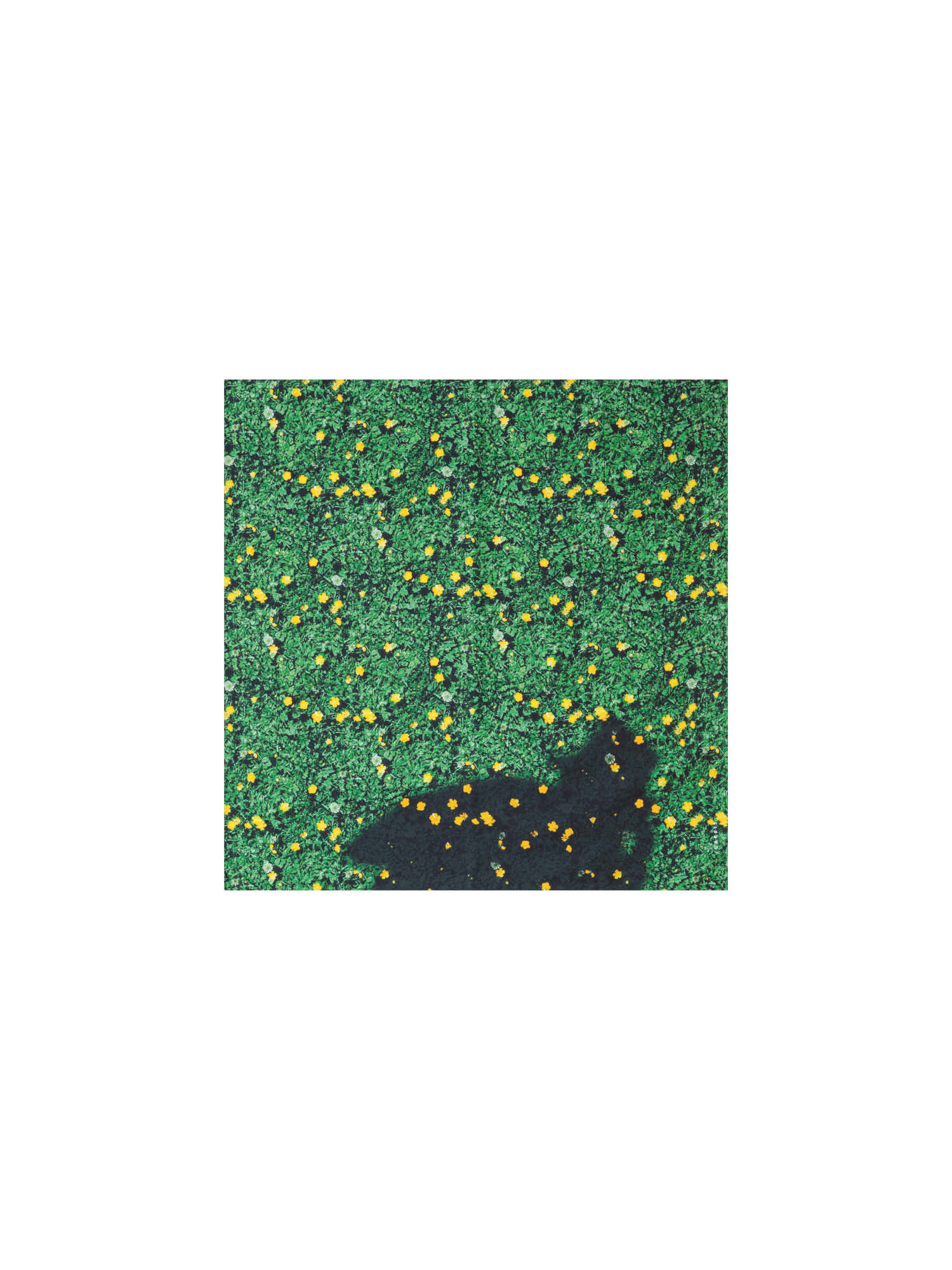 Designer Schal aus Seide mit Buttercups Druck - Grün