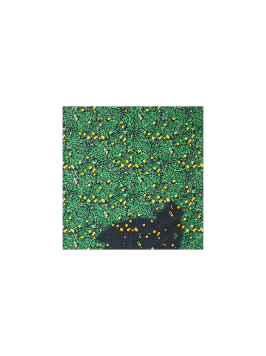 Designer Schal aus Seide mit Buttercups Druck - Grün