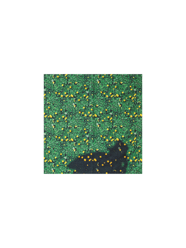 Designer Schal aus Seide mit Buttercups Druck - Grün