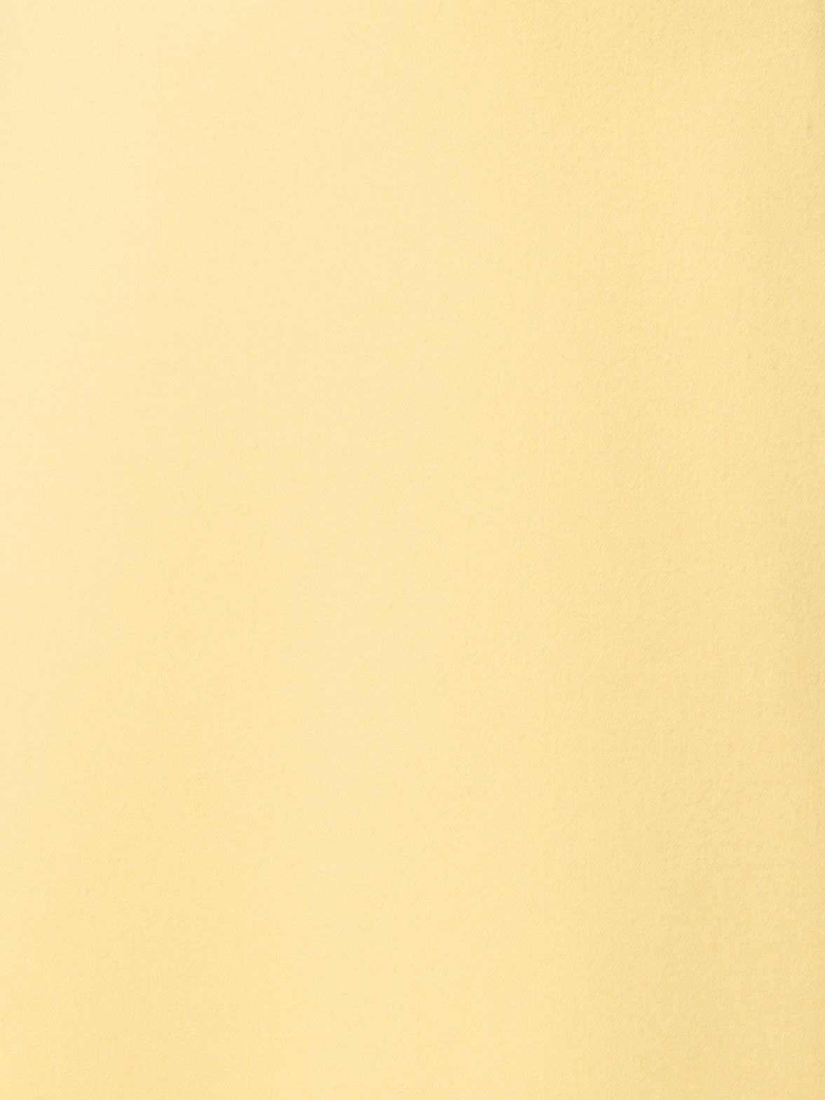 Wool Double Face A-Line Skirt
